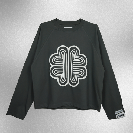 cropped longsleeve vol.1 - grey